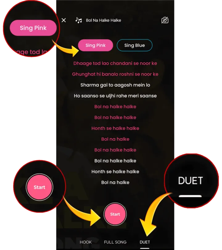 Duet mode showing Sing Pink and Sing Blue parts